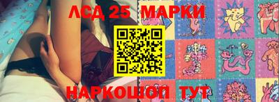прущие крисы Моздок