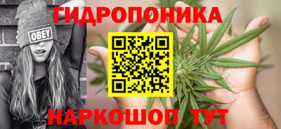 прущие крисы Моздок
