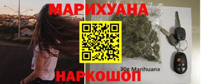 прущие крисы Моздок