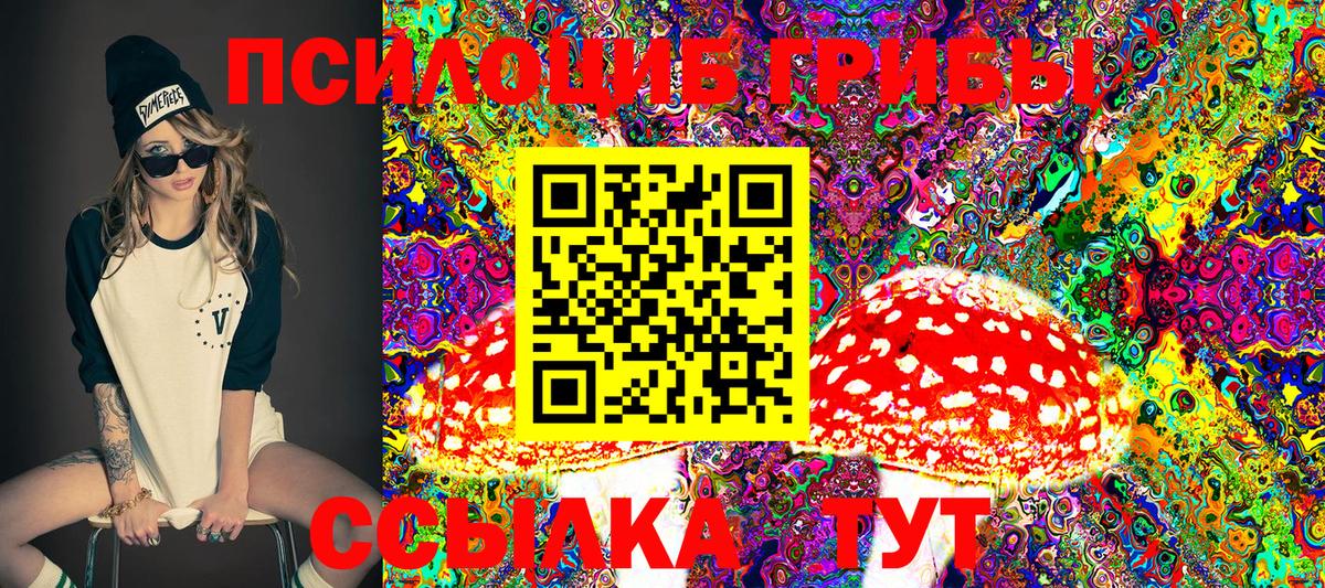 Псилоцибиновые грибы GOLDEN TEACHER Сызрань